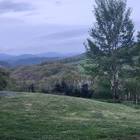 Hébergement de vacances Le Petit 15140 *